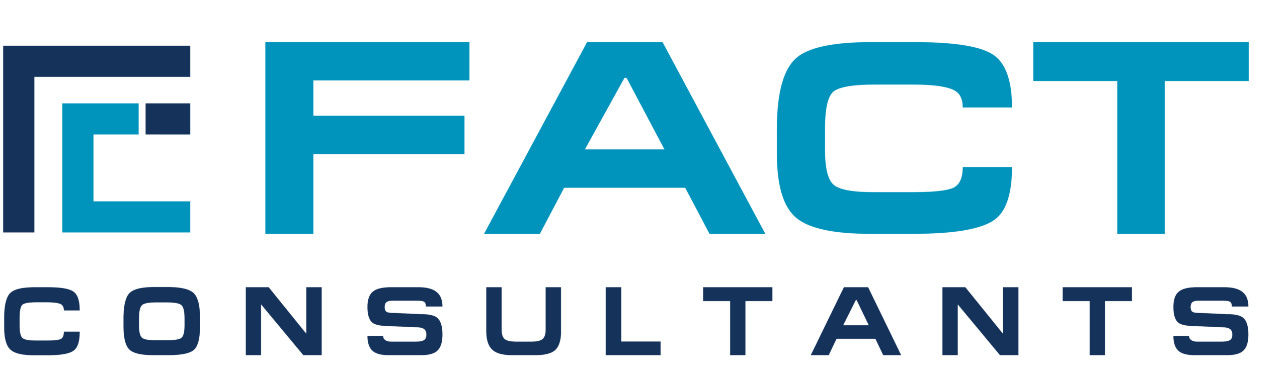 Fact Consultants